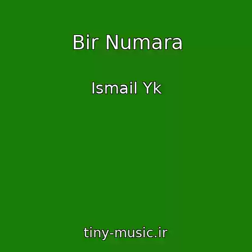 کاور آهنگ Bir Numara از Ismail Yk