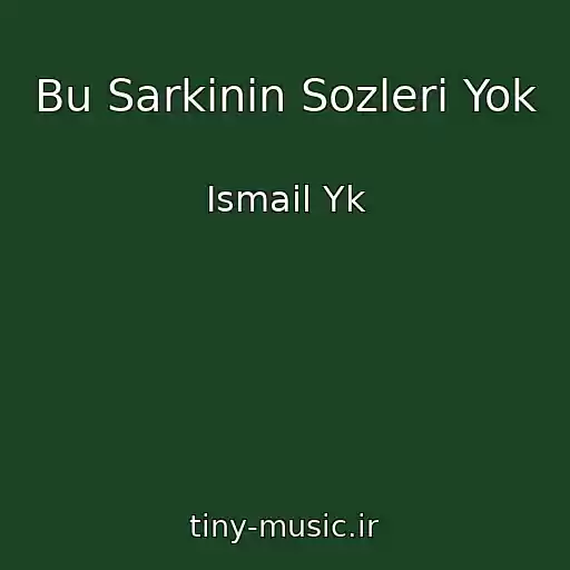 کاور آهنگ Bu Sarkinin Sozleri Yok از Ismail Yk
