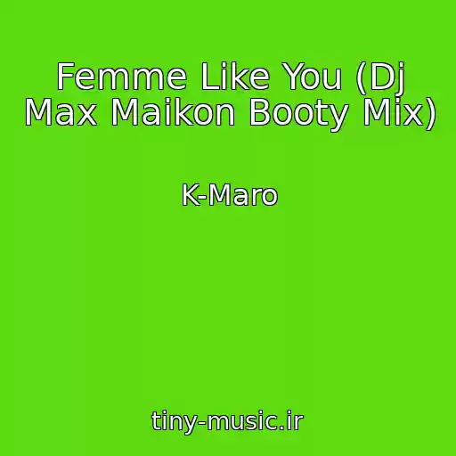 کاور آهنگ Femme Like You (Dj Max Maikon Booty Mix) از K-Maro