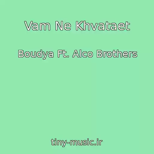 کاور آهنگ Vam Ne Khvataet از Boudya Ft. Alco Brothers