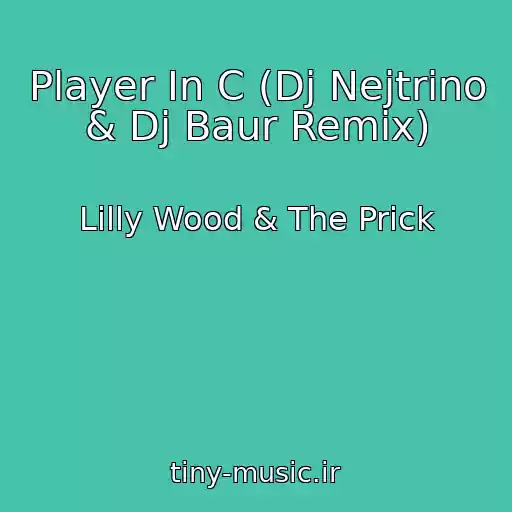 کاور آهنگ Player In C (Dj Nejtrino & Dj Baur Remix) از Lilly Wood & The Prick