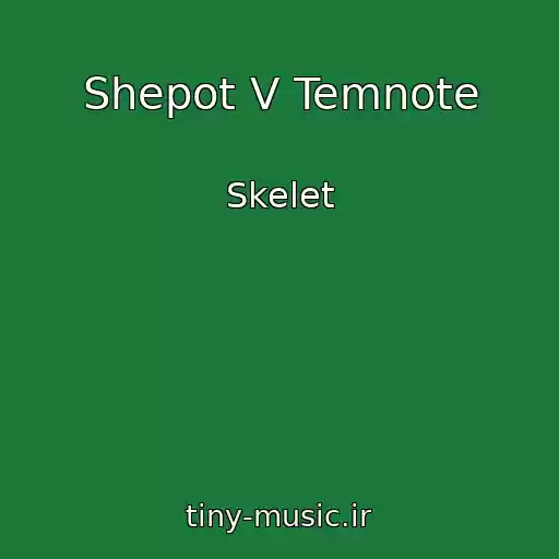 کاور آهنگ Shepot V Temnote از Skelet