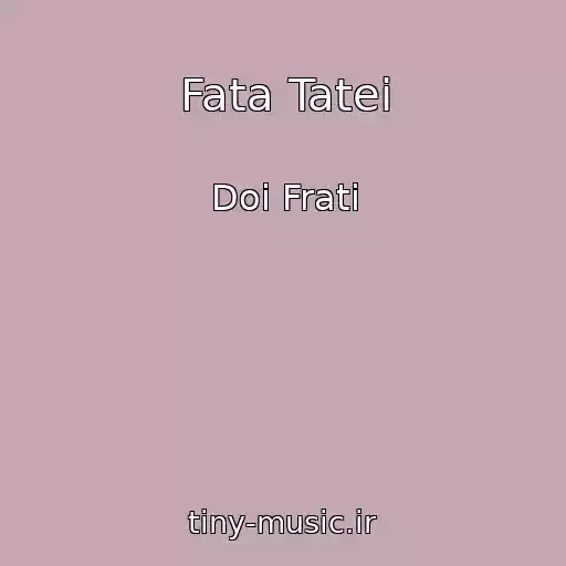 کاور آهنگ Fata Tatei از Doi Frati
