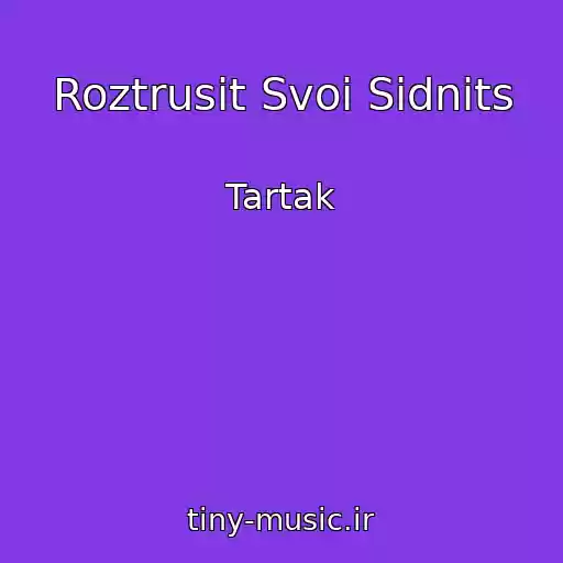کاور آهنگ Roztrusit Svoi Sidnits از Tartak