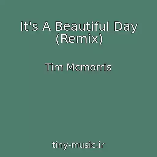 کاور آهنگ It's A Beautiful Day (Remix) از Tim Mcmorris
