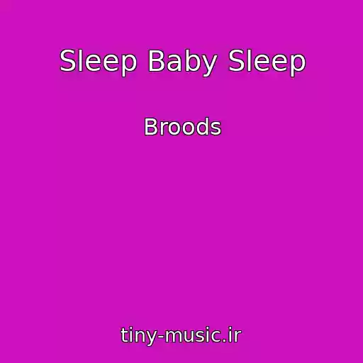 کاور آهنگ Sleep Baby Sleep از Broods