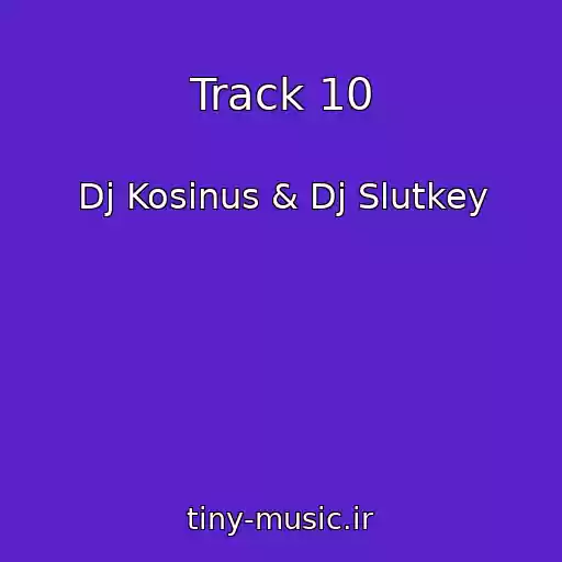 کاور آهنگ Track 10 از Dj Kosinus & Dj Slutkey