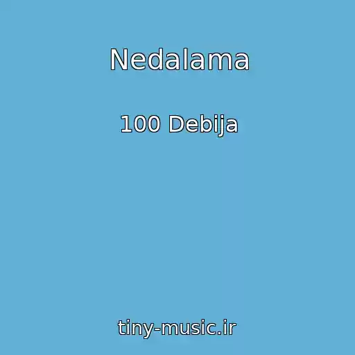 کاور آهنگ Nedalama از 100 Debija