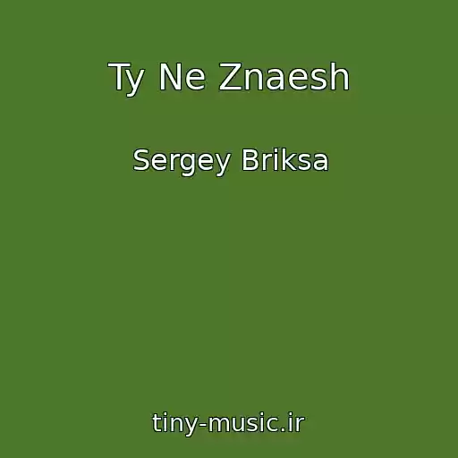 کاور آهنگ Ty Ne Znaesh از Sergey Briksa
