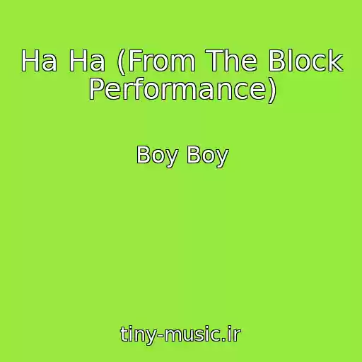 کاور آهنگ Ha Ha (From The Block Performance) از Boy Boy