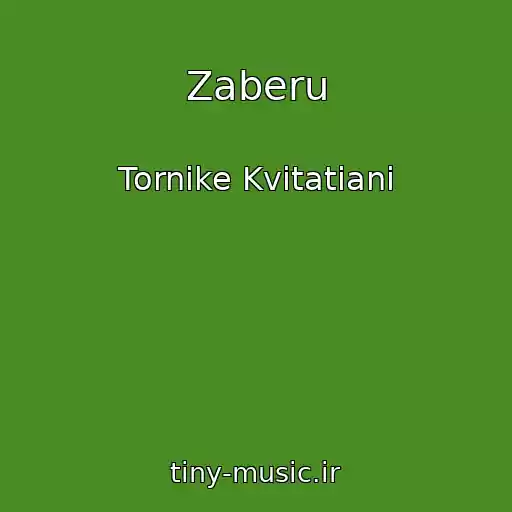 کاور آهنگ Zaberu از Tornike Kvitatiani