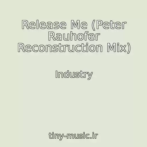 کاور آهنگ Release Me (Peter Rauhofer Reconstruction Mix) از Industry