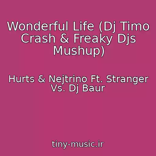 کاور آهنگ Wonderful Life (Dj Timo Crash & Freaky Djs Mushup) از Hurts & Nejtrino Ft. Stranger Vs. Dj Baur