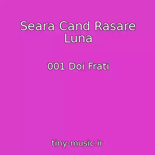کاور آهنگ Seara Cand Rasare Luna از 001 Doi Frati