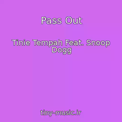 کاور آهنگ Pass Out از Tinie Tempah Feat. Snoop Dogg
