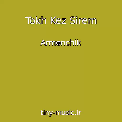 کاور آهنگ Tokh Kez Sirem از Armenchik