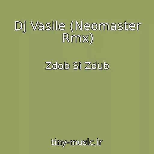 کاور آهنگ Dj Vasile (Neomaster Rmx) از Zdob Si Zdub