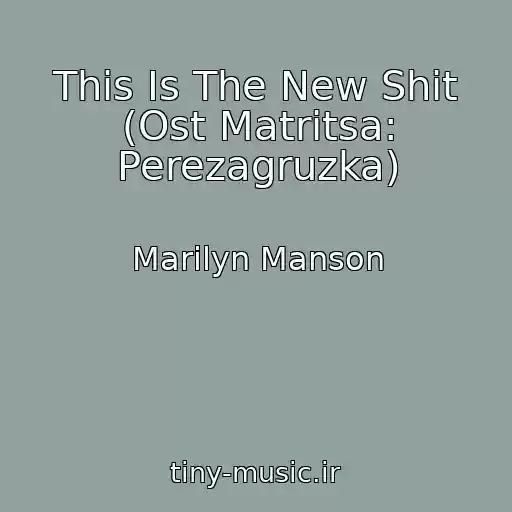 کاور آهنگ This Is The New Shit (Ost Matritsa: Perezagruzka) از Marilyn Manson