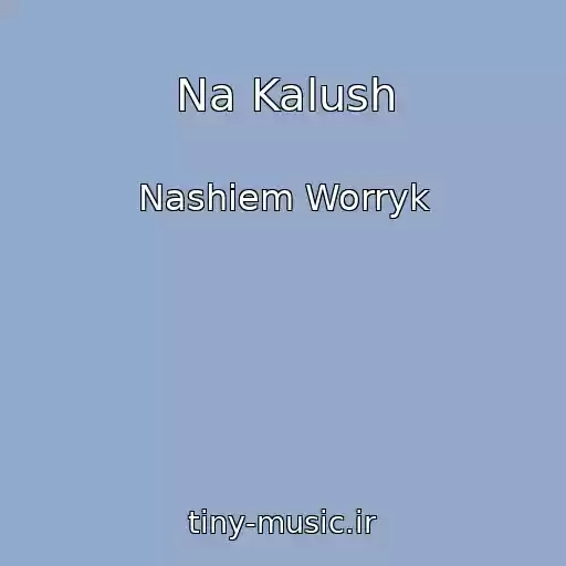 کاور آهنگ Na Kalush از Nashiem Worryk