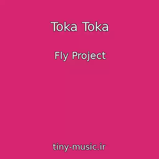 کاور آهنگ Toka Toka از Fly Project