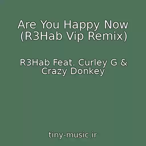 کاور آهنگ Are You Happy Now (R3Hab Vip Remix) از R3Hab Feat. Curley G & Crazy Donkey