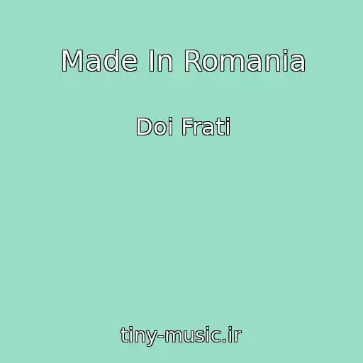 کاور آهنگ Made In Romania از Doi Frati