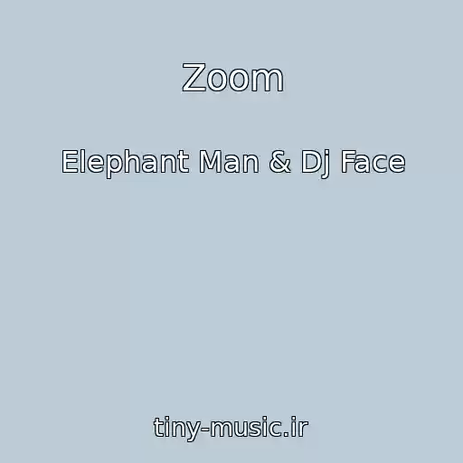کاور آهنگ Zoom از Elephant Man & Dj Face