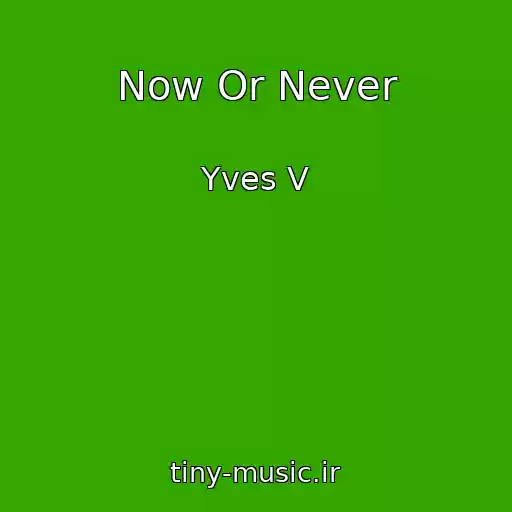 کاور آهنگ Now Or Never از Yves V
