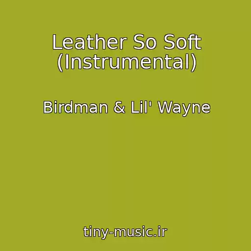 کاور آهنگ Leather So Soft (Instrumental) از Birdman & Lil' Wayne