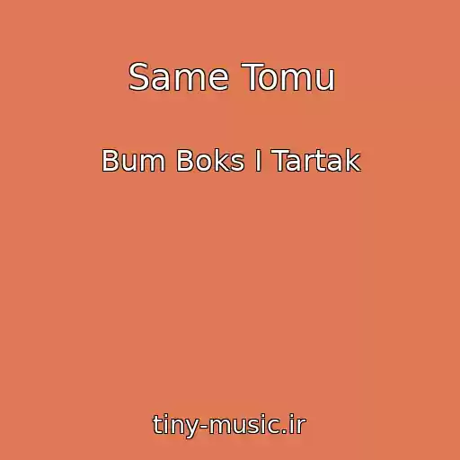 کاور آهنگ Same Tomu از Bum Boks I Tartak