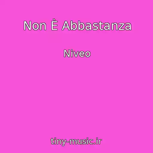 کاور آهنگ Non È Abbastanza از Niveo