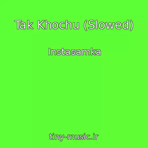 کاور آهنگ Tak Khochu (Slowed) از Instasamka