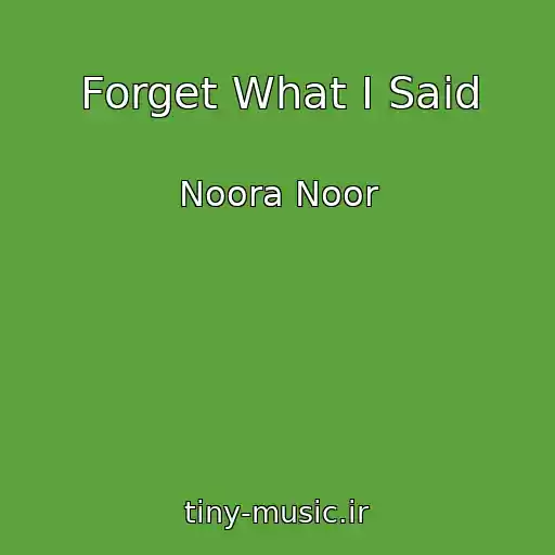 کاور آهنگ Forget What I Said از Noora Noor