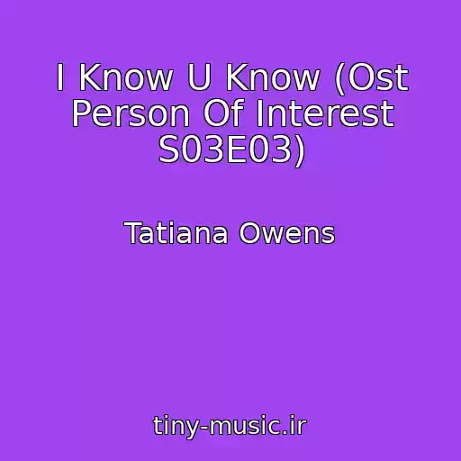 کاور آهنگ I Know U Know (Ost Person Of Interest S03E03) از Tatiana Owens