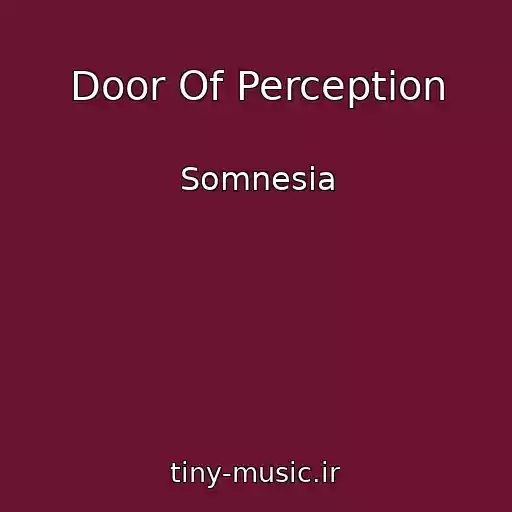 کاور آهنگ Door Of Perception از Somnesia