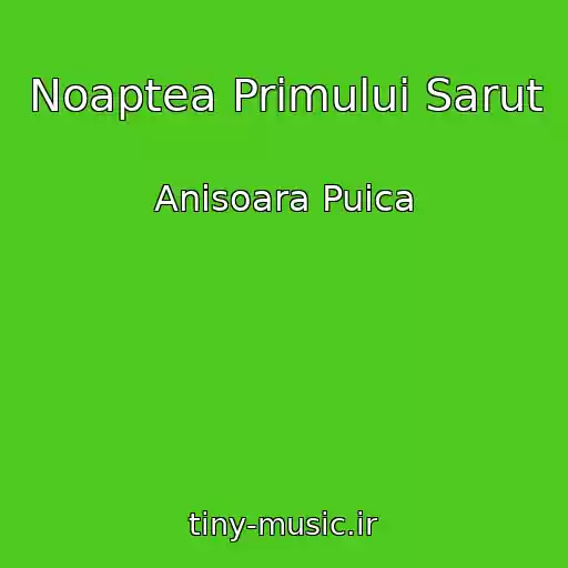 کاور آهنگ Noaptea Primului Sarut از Anisoara Puica
