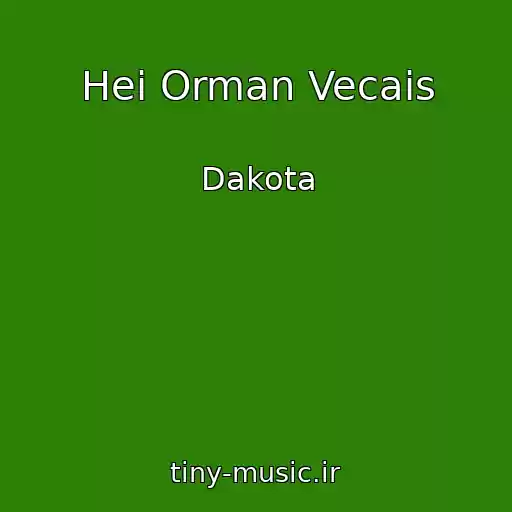 کاور آهنگ Hei Orman Vecais از Dakota