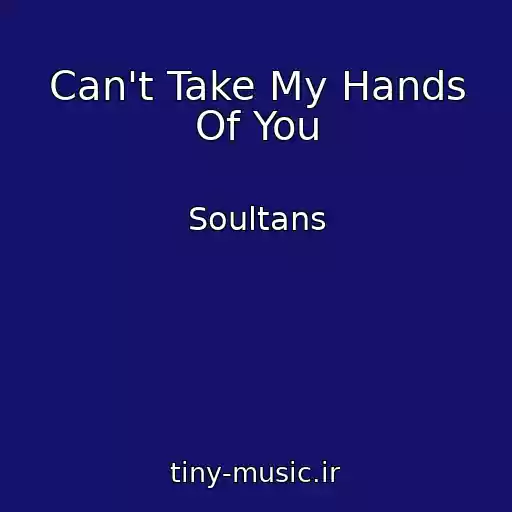 کاور آهنگ Can't Take My Hands Of You از Soultans