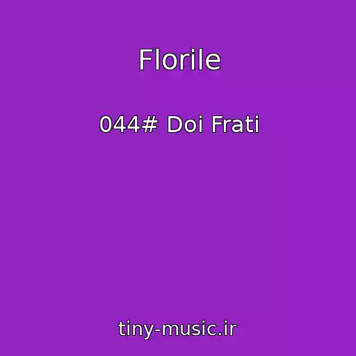 کاور آهنگ Florile از 044# Doi Frati