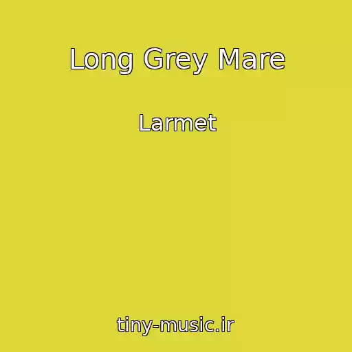 کاور آهنگ Long Grey Mare از Larmet