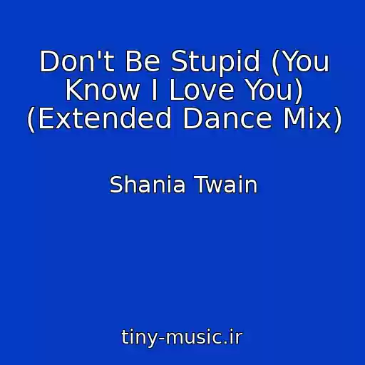 کاور آهنگ Don't Be Stupid (You Know I Love You) (Extended Dance Mix) از Shania Twain