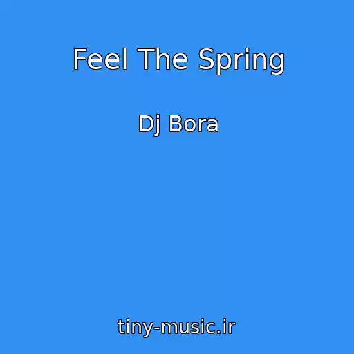 کاور آهنگ Feel The Spring از Dj Bora