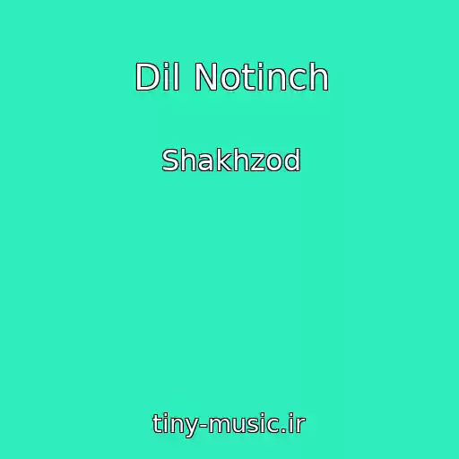 کاور آهنگ Dil Notinch از Shakhzod