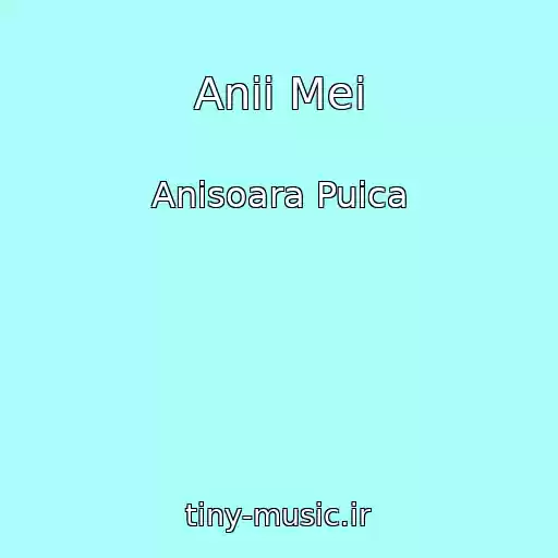 کاور آهنگ Anii Mei از Anisoara Puica