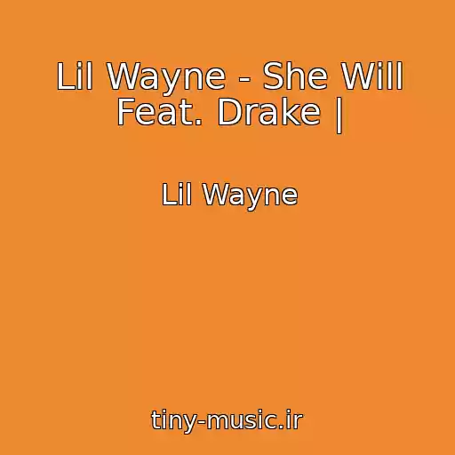 کاور آهنگ Lil Wayne - She Will Feat. Drake | از Lil Wayne