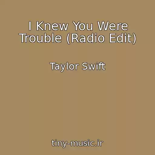 کاور آهنگ I Knew You Were Trouble (Radio Edit) از Taylor Swift