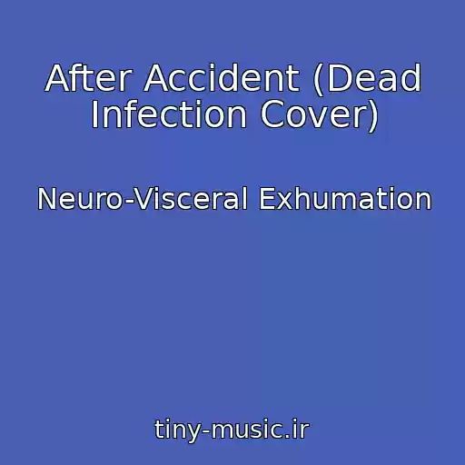 کاور آهنگ After Accident (Dead Infection Cover) از Neuro-Visceral Exhumation
