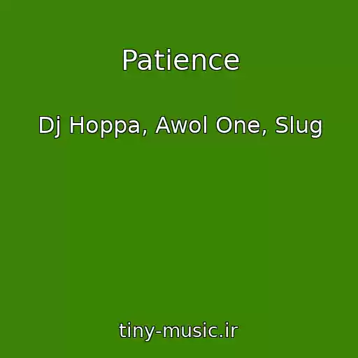 کاور آهنگ Patience از Dj Hoppa, Awol One, Slug