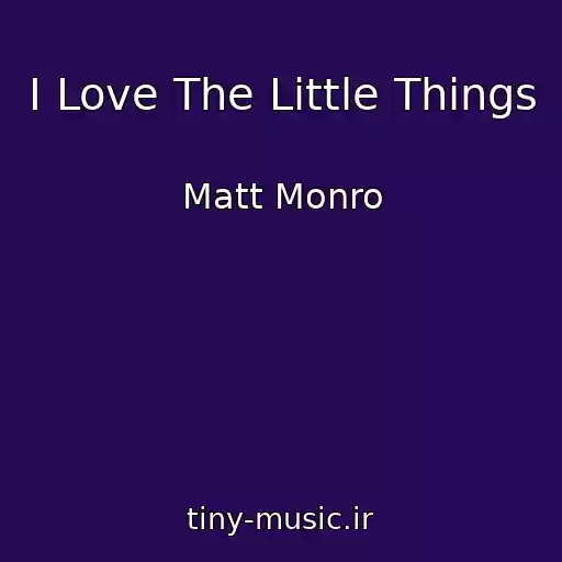 کاور آهنگ I Love The Little Things از Matt Monro