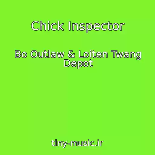کاور آهنگ Chick Inspector از Bo Outlaw & Loiten Twang Depot